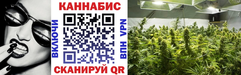 Бошки марихуана OG Kush как найти наркотики Бикин